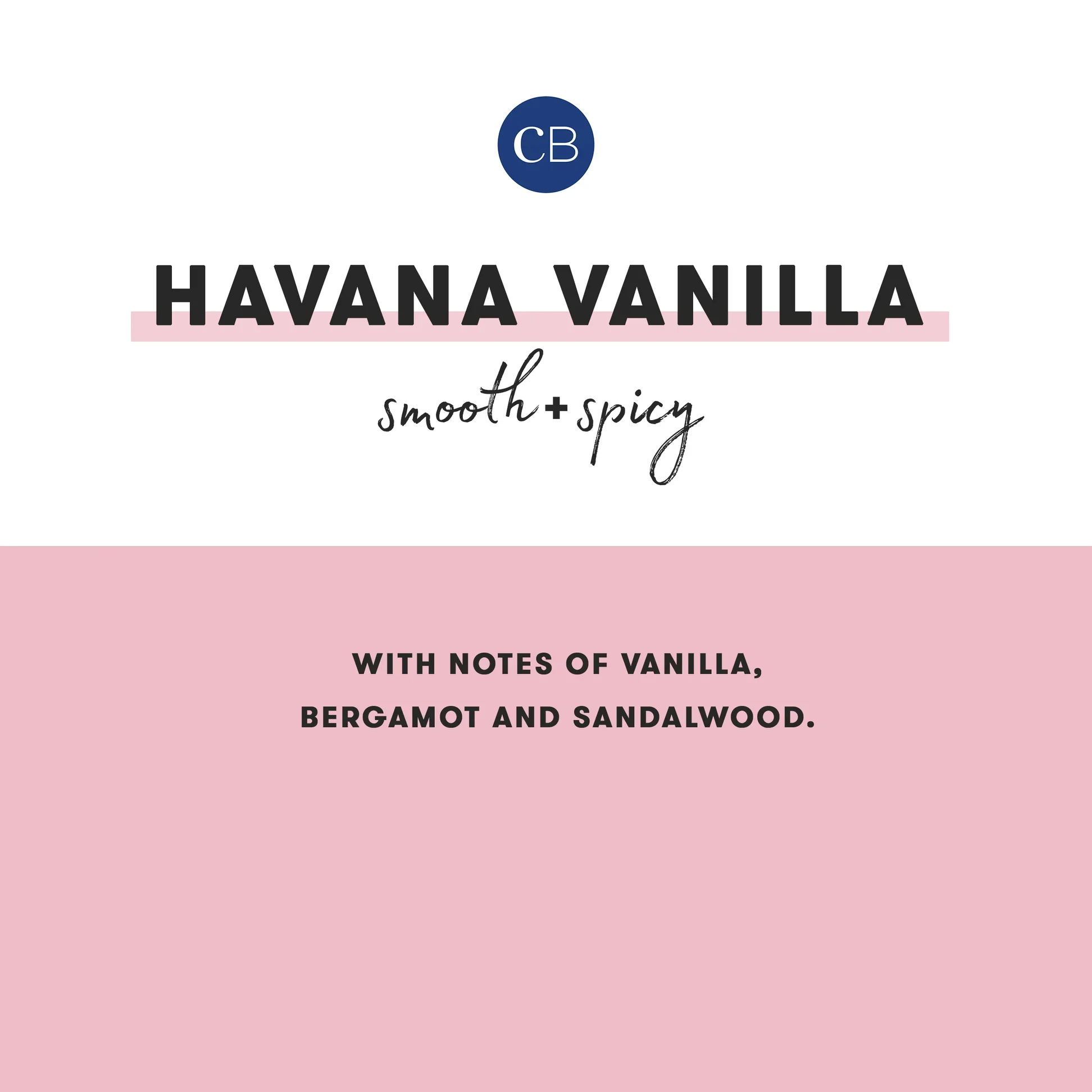CAPRI BLUE - Havana Vanilla Pattern Play Travel Tin, 8.5 oz - Image 3